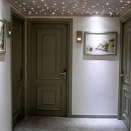 Mayer Istanbul