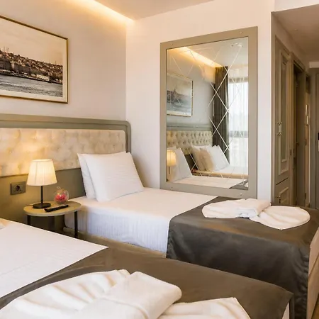 Mayer 2*