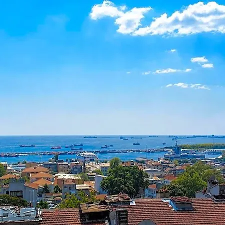 Mayer Estambul