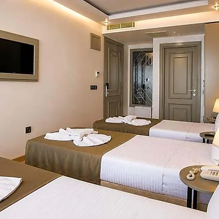 Mayer 2* Provincia di Istanbul