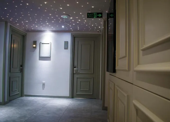 Mayer Κωνσταντινούπολη